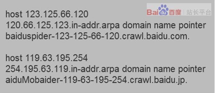 【官方说法】只需两步,教你正确识别百度蜘蛛